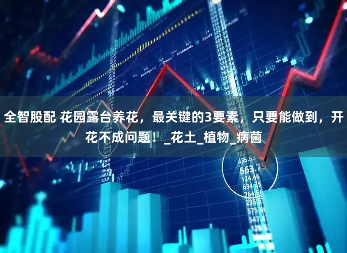 全智股配 花园露台养花，最关键的3要素，只要能做到，开花不成问题！_花土_植物_病菌