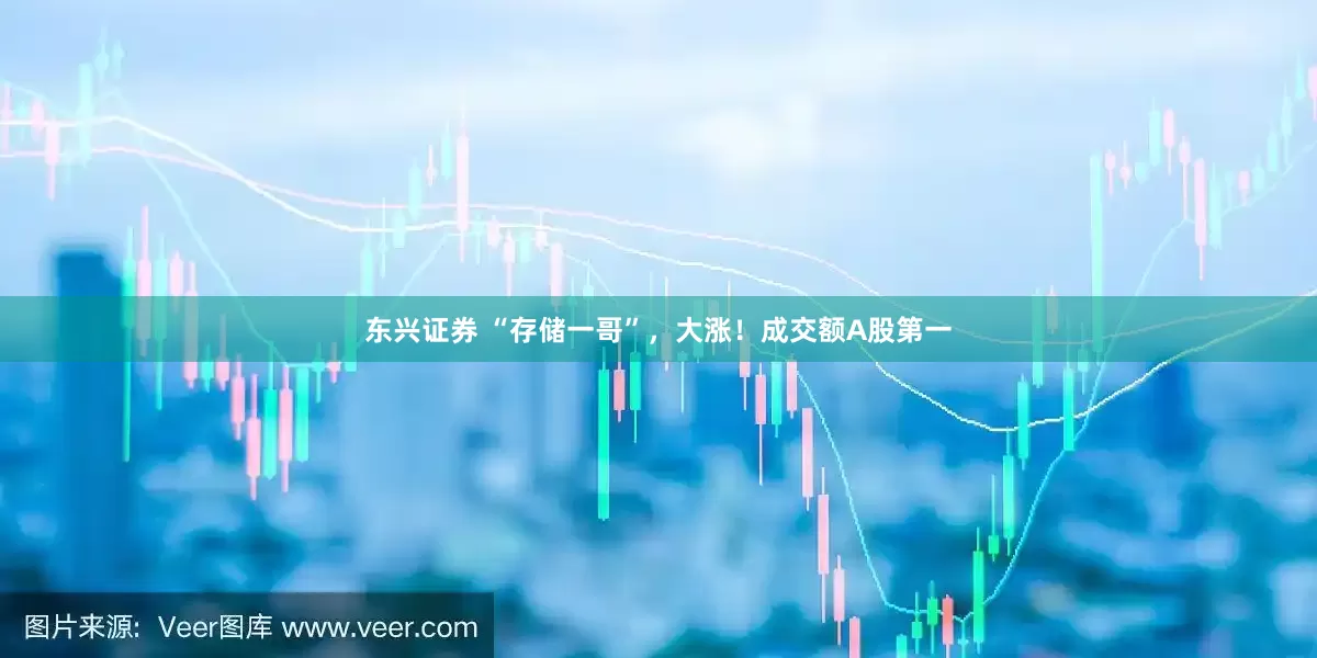 东兴证券 “存储一哥”，大涨！成交额A股第一